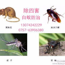 灭鼠虫蚁价格 灭鼠虫蚁批发 灭鼠虫蚁厂家 